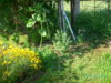 PICT2003.JPG