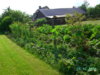 PICT2004.JPG