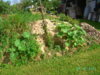 PICT2005.JPG