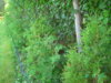 PICT2010.JPG