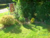 PICT2012.JPG
