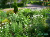 PICT2023.JPG