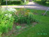 PICT2026.JPG