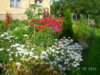 PICT2028.JPG