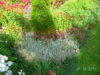PICT2029.JPG