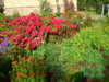 PICT2030.JPG