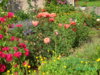 PICT2031.JPG
