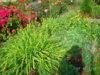PICT2032.JPG
