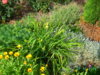 PICT2033.JPG