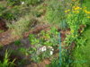 PICT2034.JPG