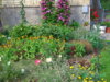 PICT2035.JPG
