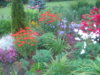 PICT1719.JPG