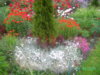 PICT1720.JPG
