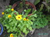 PICT1819.JPG