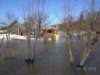 PICT0773.JPG