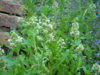 PICT1824.JPG