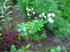 PICT1852.JPG