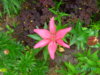 PICT2070.JPG