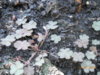 DSCN5812.JPG