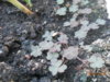 DSCN5814.JPG