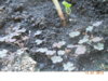 DSCN5813.JPG