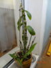 DSC01524.JPG