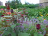 PICT2205.JPG