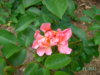PICT2206.JPG
