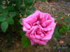 PICT2207.JPG