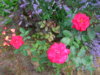 PICT2210.JPG