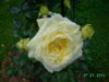 PICT2217.JPG