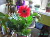PICT2231.JPG