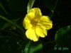 PICT2240.JPG