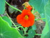 PICT2241.JPG