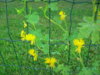 PICT2238.JPG