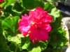 PICT2232.JPG