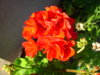 PICT2233.JPG