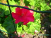 PICT2234.JPG