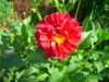PICT2237.JPG