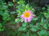 PICT2254.JPG