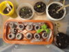 DSC04994.JPG