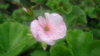 DSC01877.JPG
