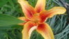 DSC01836.JPG
