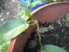 PICT2317.JPG