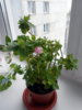 DSCN3223.JPG