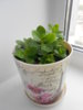 DSCN3237.JPG