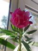 DSC_9640.jpg