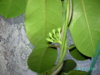 PICT2422.JPG