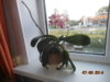 DSCN2624.JPG