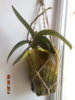 DSCN2635.jpg
